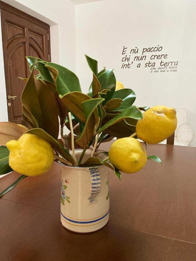 B&B Casa Letizia Trentinara Dış mekan fotoğraf